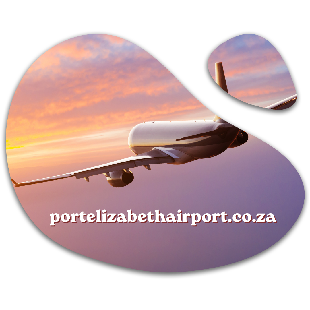 bramfischerairport.co.za